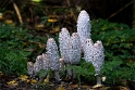 Allgäu 09 - 2014 - 20140913_0374 als Smartobjekt-1 Kopie